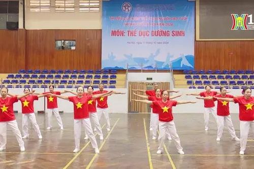 Giải thi đấu các môn thể thao người cao tuổi Hà Nội