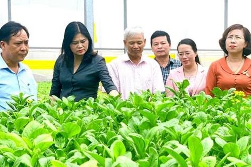 Gia Lâm: Vươn lên mạnh mẽ từ nền tảng vững chắc