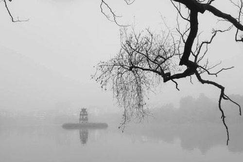 Nguồn thi hứng bất tận