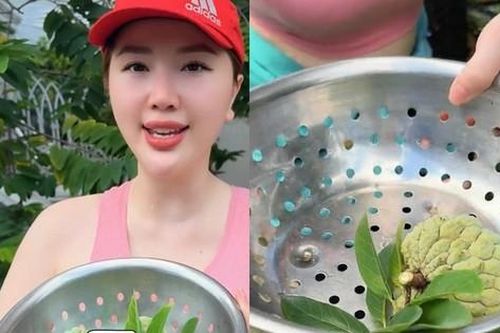 Bảo Thy phải thanh minh lúc nửa đêm chỉ vì mấy quả na nhà trồng, lý do là gì?