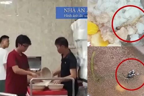 Vụ SV Bách khoa ăn cơm thừa: Bộ GD&ĐT ra công văn 'nóng'