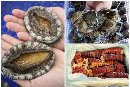 3 loại hải sản 'quý tộc' đổ bộ chợ Việt, giá 'rẻ như rau'