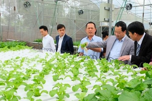 Hà Nội tập trung nguồn lực xây dựng nông thôn mới kiểu mẫu