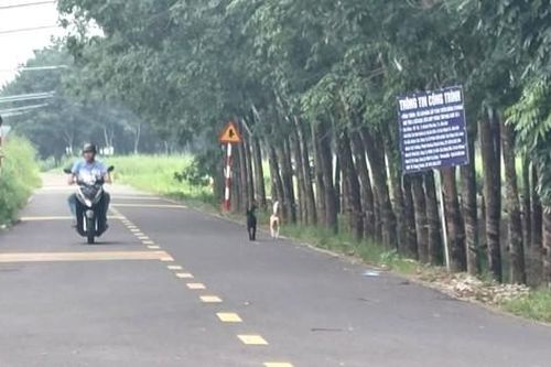 Người dân Bình Dương hiến đất, góp hàng chục tỷ đồng xóa đường lầy lội