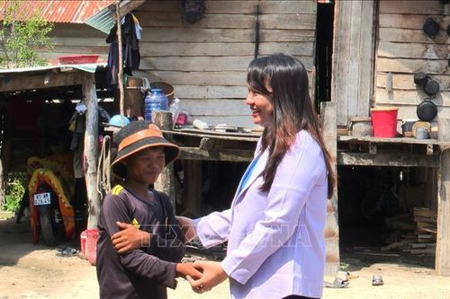 Những bông hoa đẹp giữa vùng 'chảo lửa' Krông Pa