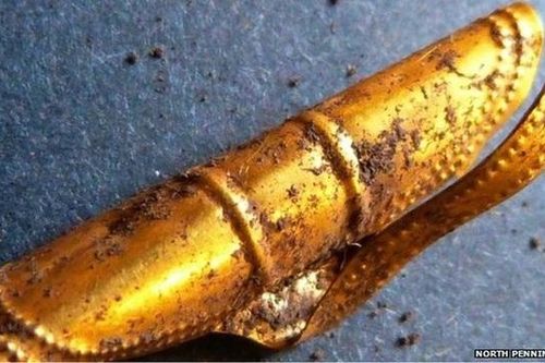 Đi thực tế, 4 học sinh tiểu học đào được 'kho báu' quý giá