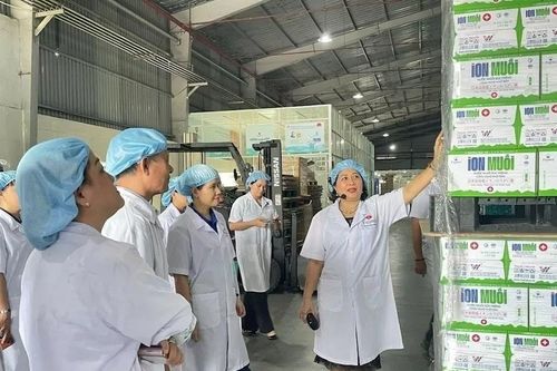Bí quyết gì giúp Fujiwa Việt Nam thành công trong kinh doanh xanh?