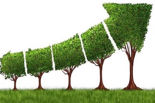 Kinh tế xanh: Câu chuyện thành công của Anh quốc