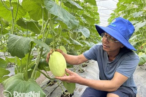 Ngành nông nghiệp tiếp tục đạt nhiều kết quả tốt