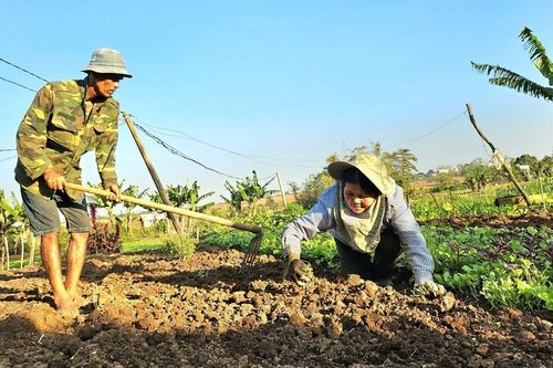 Gia Lai chuẩn bị phương án ứng phó với thiên tai