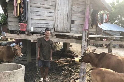 Krông Pa khó khăn thực hiện tiêu chí môi trường trong xây dựng nông thôn mới
