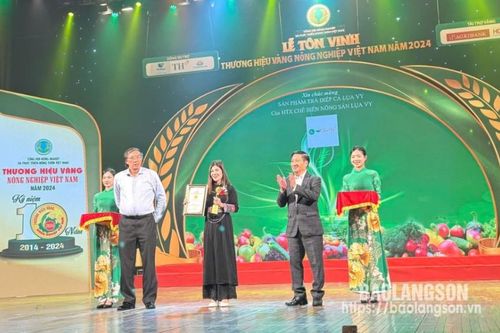 Lạng Sơn có 2 sản phẩm đạt danh hiệu 'Thương hiệu Vàng nông nghiệp Việt Nam 2024'