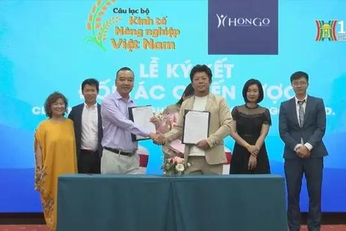 Hỗ trợ doanh nghiệp Nhật Bản đầu tư vào Việt Nam