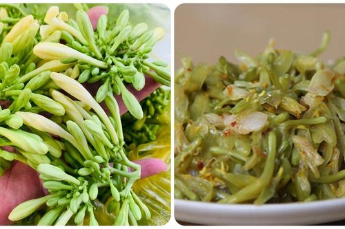 Cách sử dụng hoa đu đủ đực tươi tốt cho sức khỏe