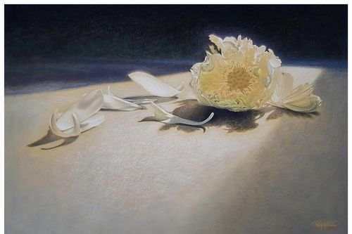 Dịu dàng cùng tranh phấn pastel
