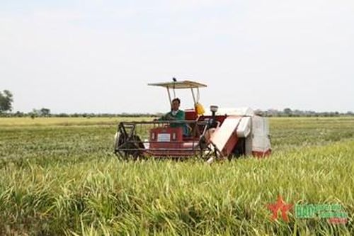 Thái Bình và những nghị quyết 'mở đường' phát triển - Bài 3: Nghị quyết làm thay đổi nông thôn và đời sống nông dân