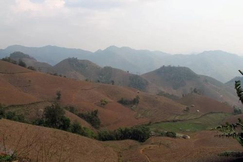 Tản văn: Ăn của rừng...