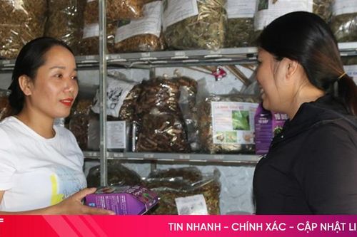 Mạnh dạn 'mở lối' thoát nghèo