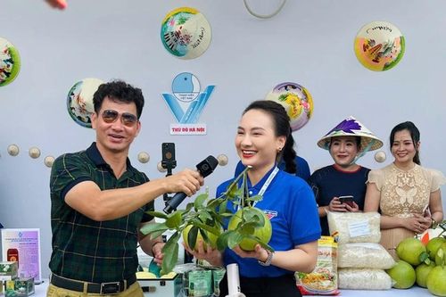 Các nghệ sỹ Thủ đô cùng livestream giới thiệu sản phẩm OCOP