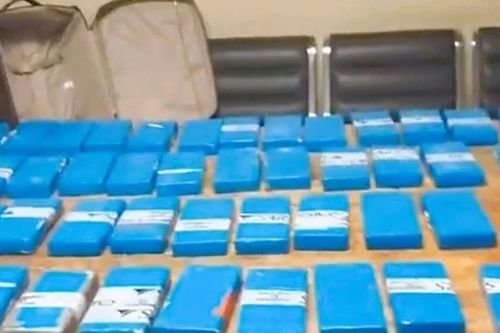 Nam Phi bắt giữ cocaine trị giá hơn 1,4 triệu USD tại sân bay quốc tế