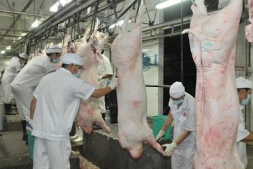 Đồng Nai: Phát triển công nghiệp giết mổ, chế biến hướng tới xuất khẩu