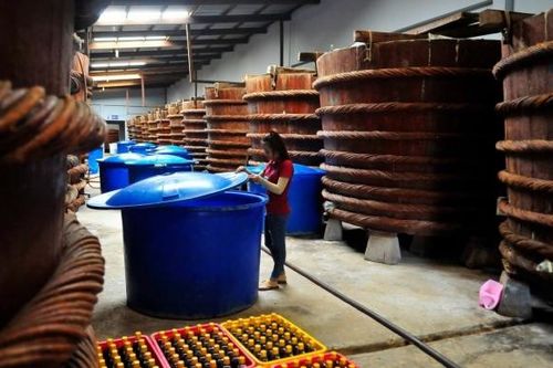 Kiên Giang: Khuyến công quốc gia hỗ trợ phát triển nghề chế biến nước mắm