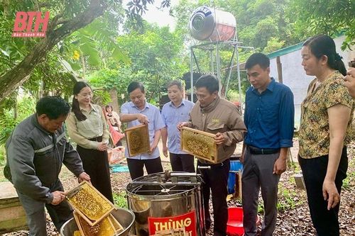 Nhân Ngày thành lập Hội Nông dân Việt Nam 14/10): Đồng hành cùng nông dân xây dựng sản phẩm OCOP