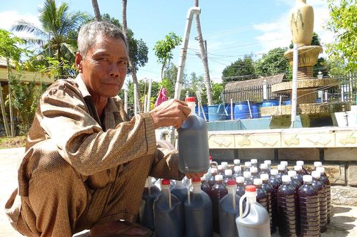 Mùa ủ nước mắm cá linh