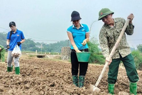 'Cùng nhau về thôn' khắc phục thiên tai, khôi phục sản xuất nông nghiệp