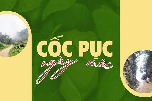Cốc Pục ngày mới