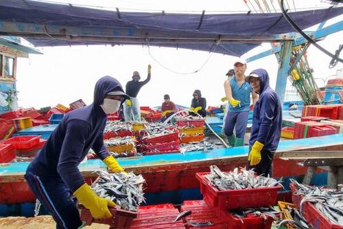 Bảo vệ môi trường và phát triển bền vững ngành thủy sản