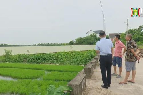 Bán đất không sổ đỏ bị phạt đến 100 triệu đồng