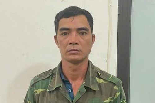 Bắt kẻ phá hoại hàng trăm cây đào cảnh của người dân