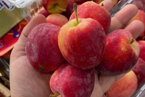 Táo cherry gây sốt chợ Việt, có nên mua?