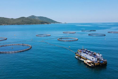 Khánh Hòa muốn phát triển thêm diện tích nuôi biển công nghệ cao