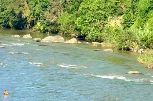 Lâm Đồng: tìm thấy thi thể thanh niên mất tích trên sông Đạ Huoai