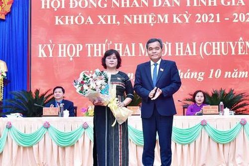Bầu bổ sung Trưởng ban, miễn nhiệm 2 thành viên UBND tỉnh
