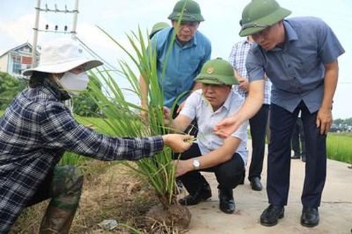 Thái Bình và những nghị quyết 'mở đường' phát triển-Bài 4: Dấu ấn từ 'khâu then chốt'