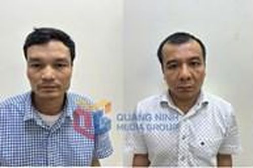 Khởi tố, bắt tạm giam Phó tổng Giám đốc Công ty Cổ phần Xi măng Hạ Long