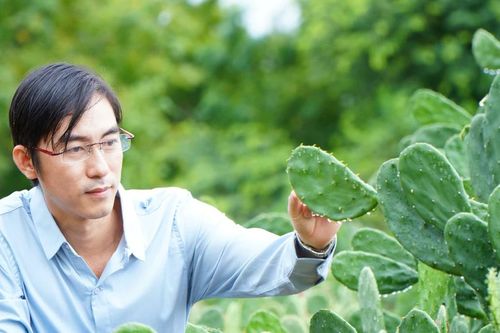 Người con làng cát và giấc mơ chinh phục cây xương rồng