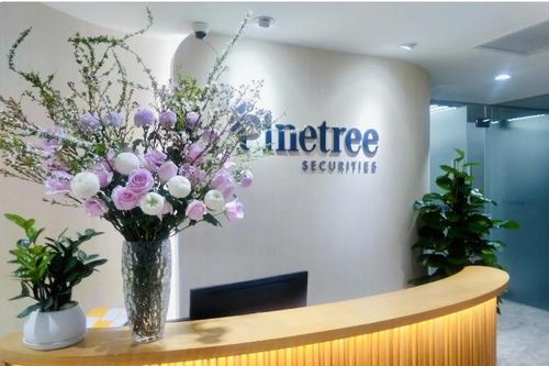 Hồ sơ công ty Chứng khoán Pinetree bị phạt lỗi giao dịch ký quỹ