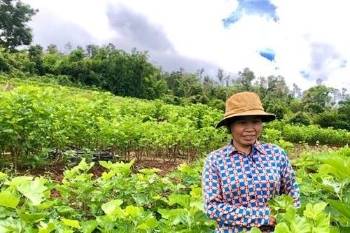 Thu nhập cao nhờ nghề 'ăn cơm đứng'
