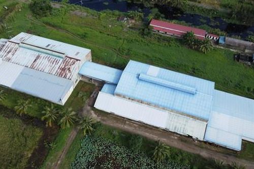 Doanh nghiệp xây trái phép nhà máy, văn phòng hơn 3ha trên đất lúa