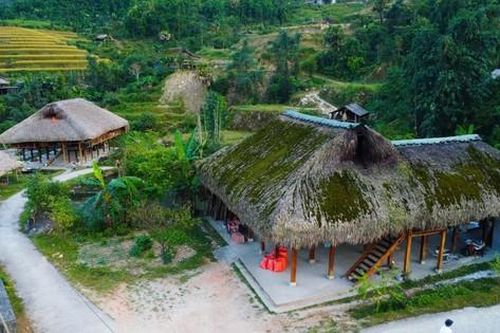 Hiếm có, khó tìm những mái nhà rêu phong biết 'biến hình'