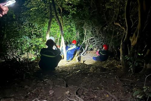 Giải cứu hai nữ du khách đi lạc trên bán đảo Sơn Trà