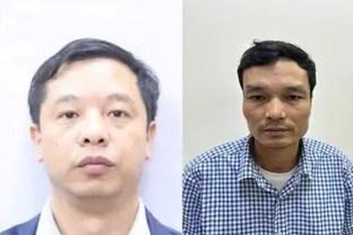 Khởi tố, bắt tạm giam Phó Tổng Giám đốc Công ty Cổ phần xi măng Hạ Long và 7 bị can