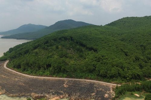 Người dân bức xúc quanh chuyện giao đất, giao rừng ở Diễn Phú (Diễn Châu)