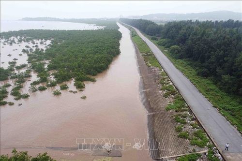 Hải Phòng: Nâng cao năng lực tưới tiêu của hệ thống thủy lợi