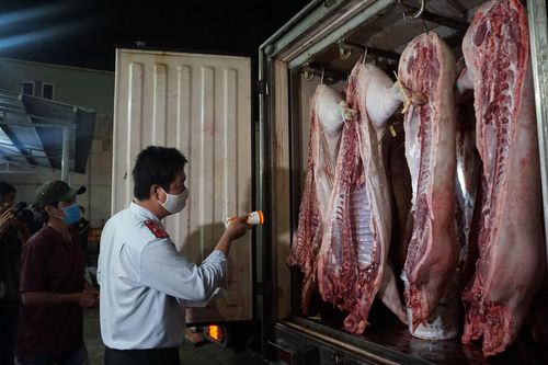 TP Hồ Chí Minh: Kiến nghị thí điểm sàn giao dịch thịt lợn