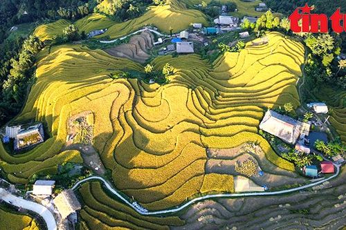 Hà Giang phục hồi du lịch, khẳng định vị thế điểm đến văn hóa hàng đầu châu Á